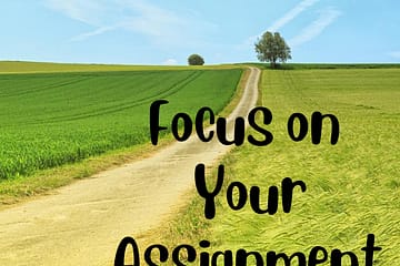 Focus on Your Assignment
